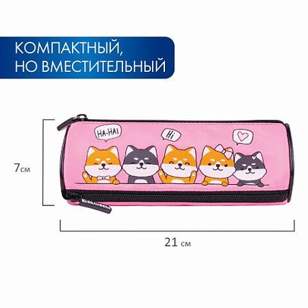 Пенал BRAUBERG, 3 отделения, нейлон, 21х7х7 см, "Puppies", 270839 