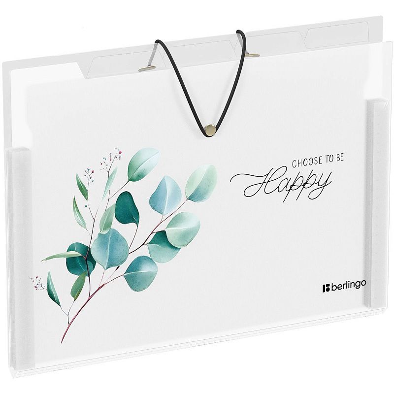 Папка 5 отделений Berlingo "Spring", А4, 600мкм, на резинке, с рисунком