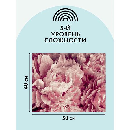 Картина по номерам на холсте ТРИ СОВЫ "Нежные пионы", 40*50, с акриловыми красками и кистями
