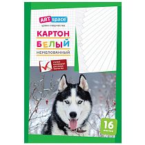 Картон белый А4, ArtSpace, 16л., немелованный, в папке