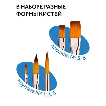 Набор кистей Гамма "Классические" 5шт., синтетика, круглые № 1, 3, 5, плоские № 5, 8, блистер, европодвес