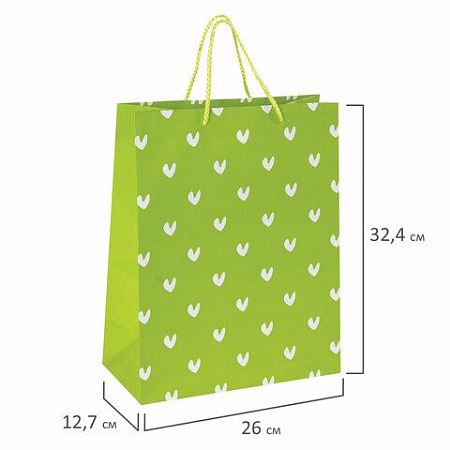 Пакет подарочный 26x12,7x32,4 см, ЗОЛОТАЯ СКАЗКА "Зеленый в галочку", ламинированный, 606603