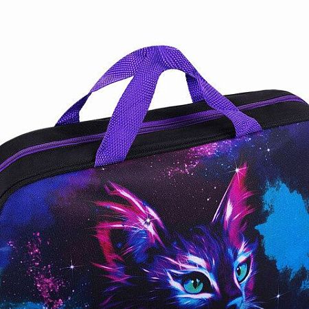 Папка на молнии с ручками BRAUBERG А4, 1 отделение, полиэстер, 80 мм, "Neon cat", 271482 
