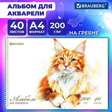 Альбом для акварели А4 40л., бумага 200 г/м, гребень, твердая подложка, BRAUBERG, Дизайн 2, 116884