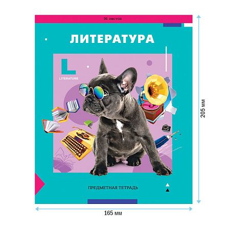 Тетрадь предметная 36л. ArtSpace "Пять в квадрате" - Литература, эконом
