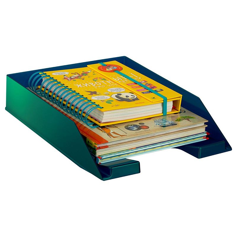 Лоток для бумаг горизонтальный СТАММ "Фаворит", зеленый хамелеон