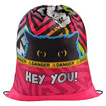 Мешок для обуви 1 отделение ArtSpace "Spy Cat", 340*420мм
