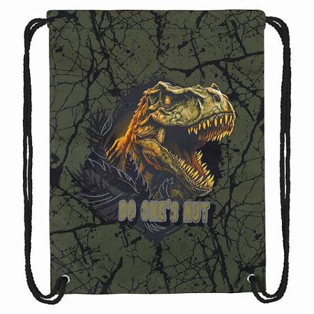 Мешок для обуви BRAUBERG PREMIUM, карман, подкладка, светоотражайка, 43х33 см, Dino attack, 272424 