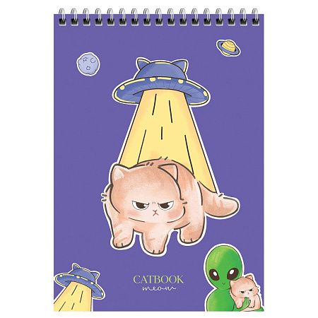 Блокнот А5 60л. на гребне MESHU "Cat Book", пластиковая обложка