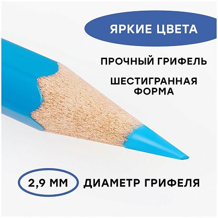 Карандаши акварельные Гамма "Лицей", 36цв., шестигранные, заточен., с кистью, картон. упаковка, европодвес