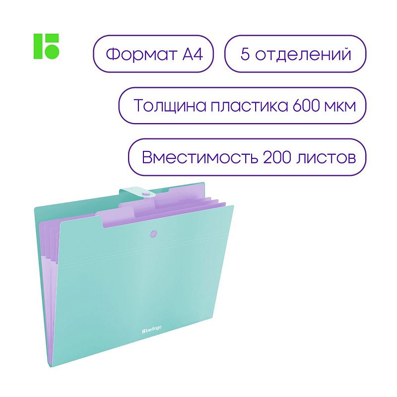 Папка 5 отделений Berlingo "Haze", А4, 600мкм, на кнопке, мятная, софт-тач 