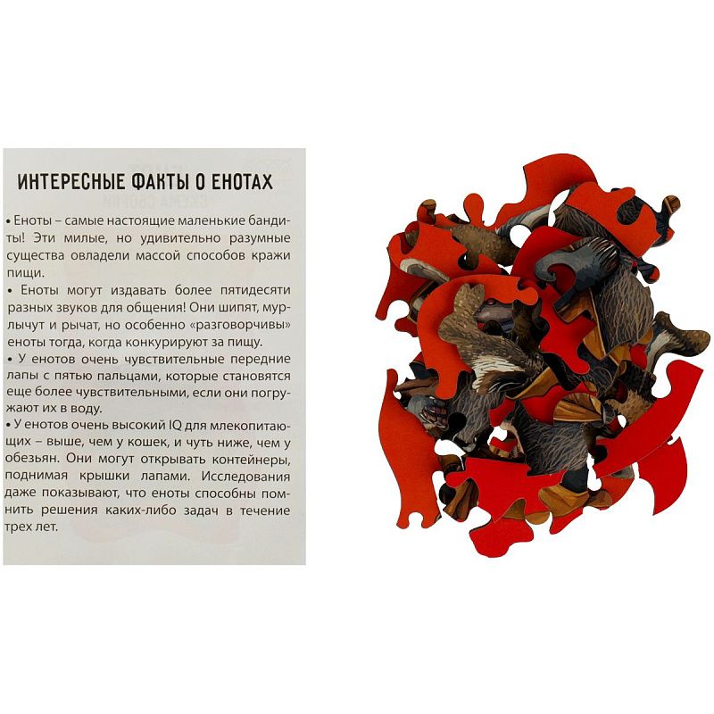 Деревянный пазл в яйце ТРИ СОВЫ "Енот" 