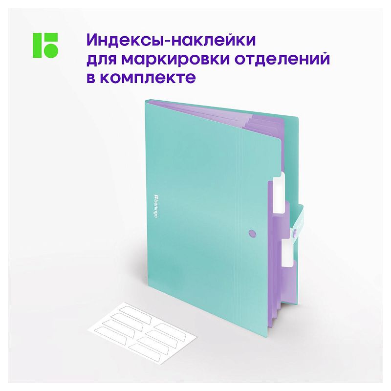 Папка 5 отделений Berlingo "Haze", А4, 600мкм, на кнопке, мятная, софт-тач 