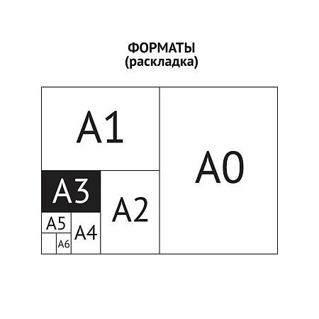 Папка для чертежей и рисунков А3 ArtSpace, серый, пластик, на молнии 