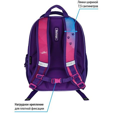 Ранец Berlingo Expert Light облегченный "Hello meow" 38*28*15см, 3 отделения, 2 кармана, анатомическая спинка 