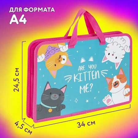 Папка на молнии с ручками ЮНЛАНДИЯ А4, 1 отделение, пластик, ширина 45 мм, "Cat gang", 272148 