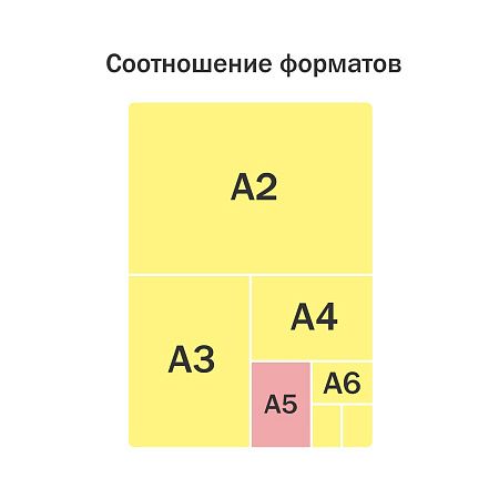 Папка для тетрадей 1 отделение, А5, ArtSpace "Happy Day", 240*190*40мм, пластик, на молнии 