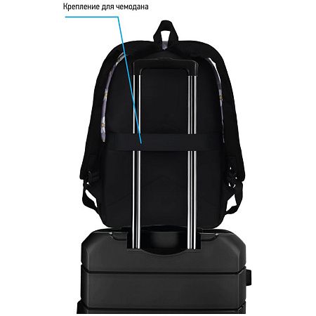 Рюкзак Berlingo Casual "Chamomile black" 39,5*27*13см, 1 отделение, 3 кармана, уплотненная спинка 