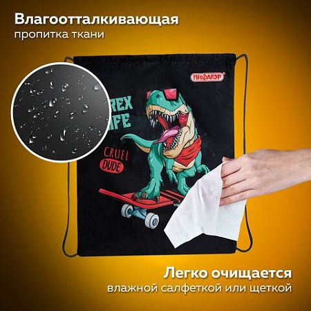 Мешок для обуви ПИФАГОР, 1 отделение, 42х34 см, "T-Rex", 271606 