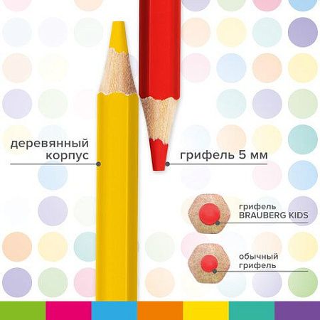 Карандаши цветные утолщенные BRAUBERG KIDS 24 цвета, грифель 5 мм, 181879