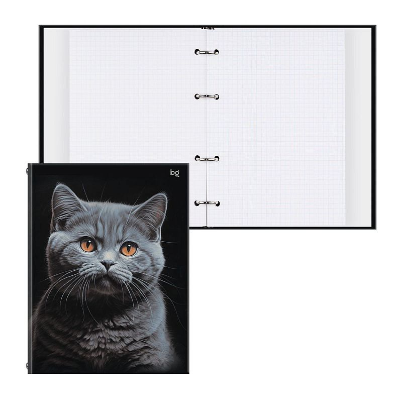 Тетрадь на кольцах А5, 160л., BG "Кот", глянцевая ламинация