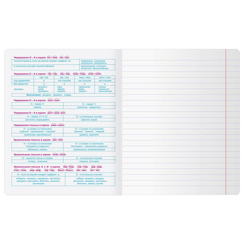 Тетрадь предметная 48л. BG "Крафт" - Русский язык, матовая ламинация