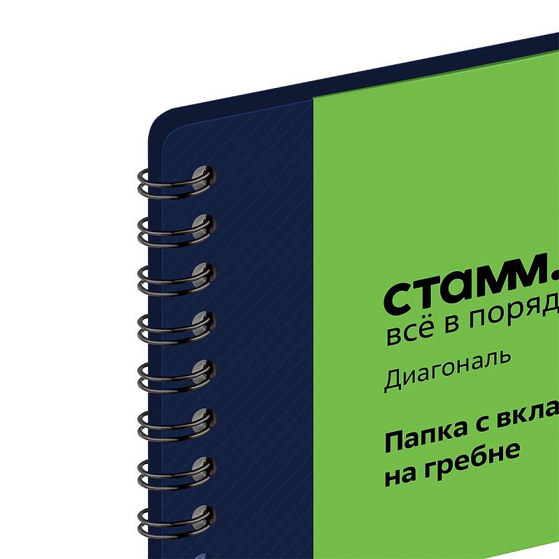 Папка с 40 вкладышами на гребне СТАММ "Диагональ" А4, 21мм, 700мкм, пластик, сапфир 