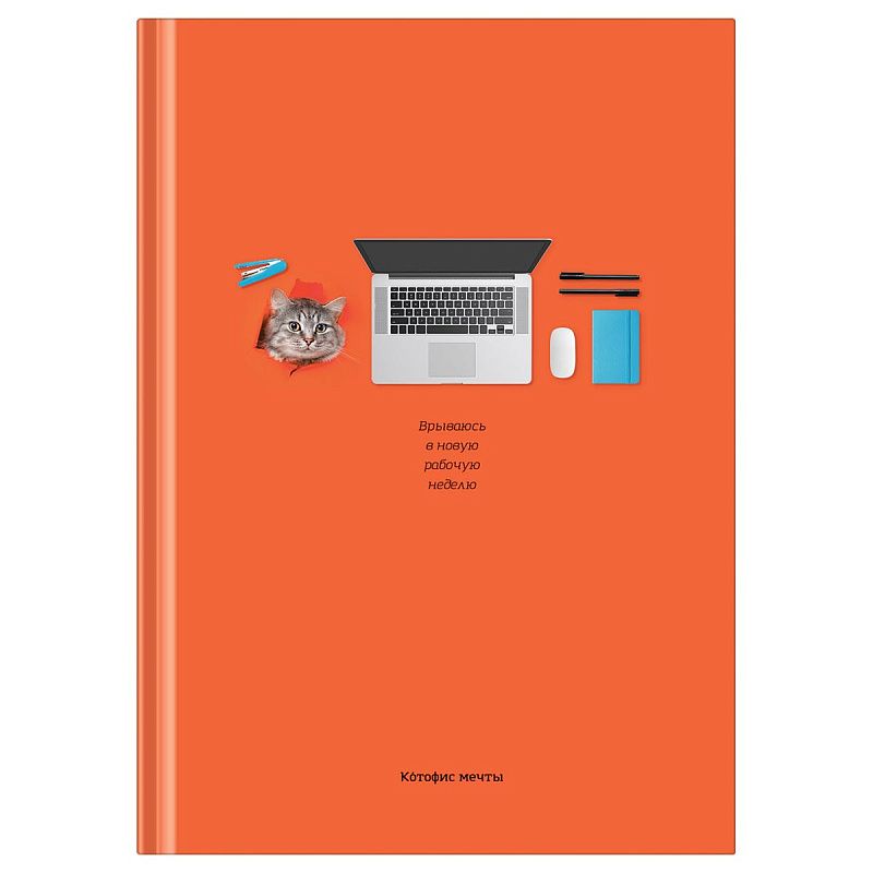 Бизнес-блокнот А5, 80л., BG "Котофис мечты", soft-touch ламинация
