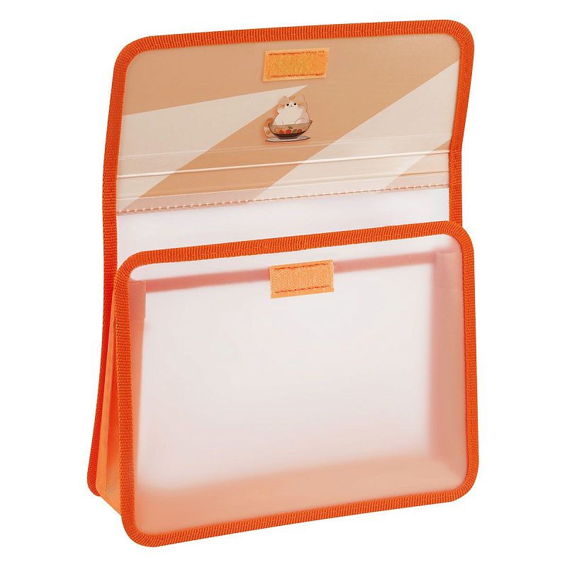 Папка для тетрадей 2 отделения, ArtSpace "Chubby cat", А5, пластик, на липучке 