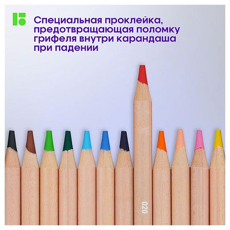 Карандаши цветные Berlingo "SuperSoft. Pro" 12цв., круглые, заточен., картон, европодвес