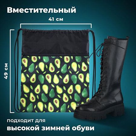 Мешок для обуви BRAUBERG БОЛЬШОЙ, с ручкой, карман на молнии, сетка, 49х41 см, "Avocado", 271058 