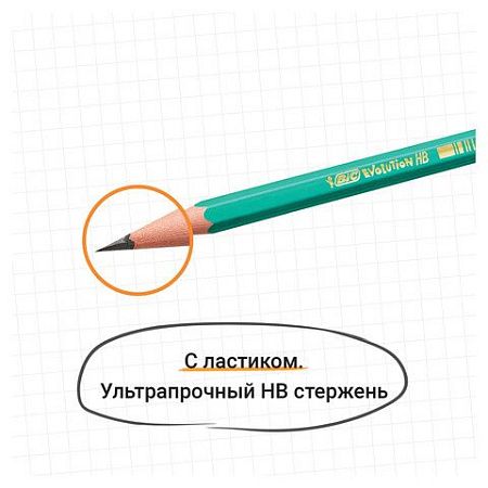 Карандаш чернографитный BIC, 1 шт., "Evolution", HB, с резинкой, пластиковый, корпус зеленый, заточенный, 8803323 