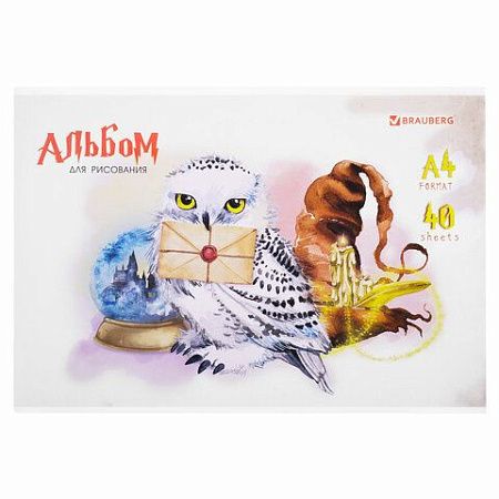 Альбом для рисования А4 40 л., скоба, обложка картон, BRAUBERG, 203х288 мм, "Магия" (2 вида), 106706