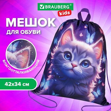 Мешок для обуви BRAUBERG KIDS, с петлей, 42х34 см, "Curious cat", 273434 
