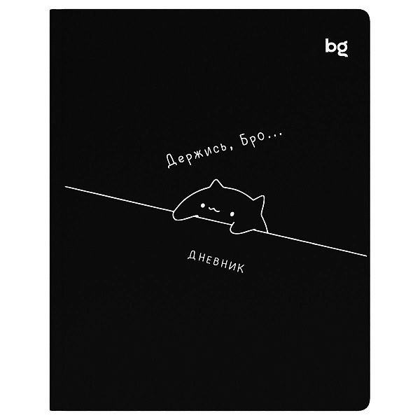 Дневник 1-11 кл. 48л. (твердый) BG "Держись", иск. кожа (балакрон), печать, ляссе