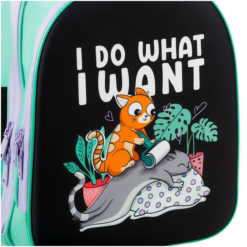 Ранец ArtSpace School Friend Light "Do what I want" 35*29*12см, 2 отделения, 2 кармана, анатомическая спинка 