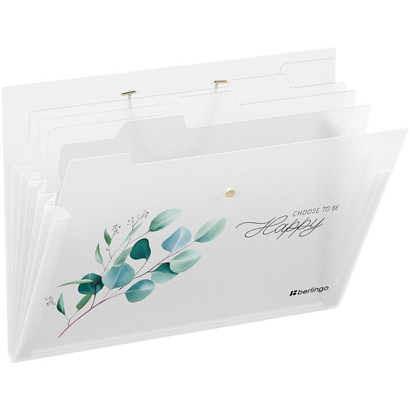 Папка 5 отделений Berlingo "Spring", А4, 600мкм, на резинке, с рисунком 