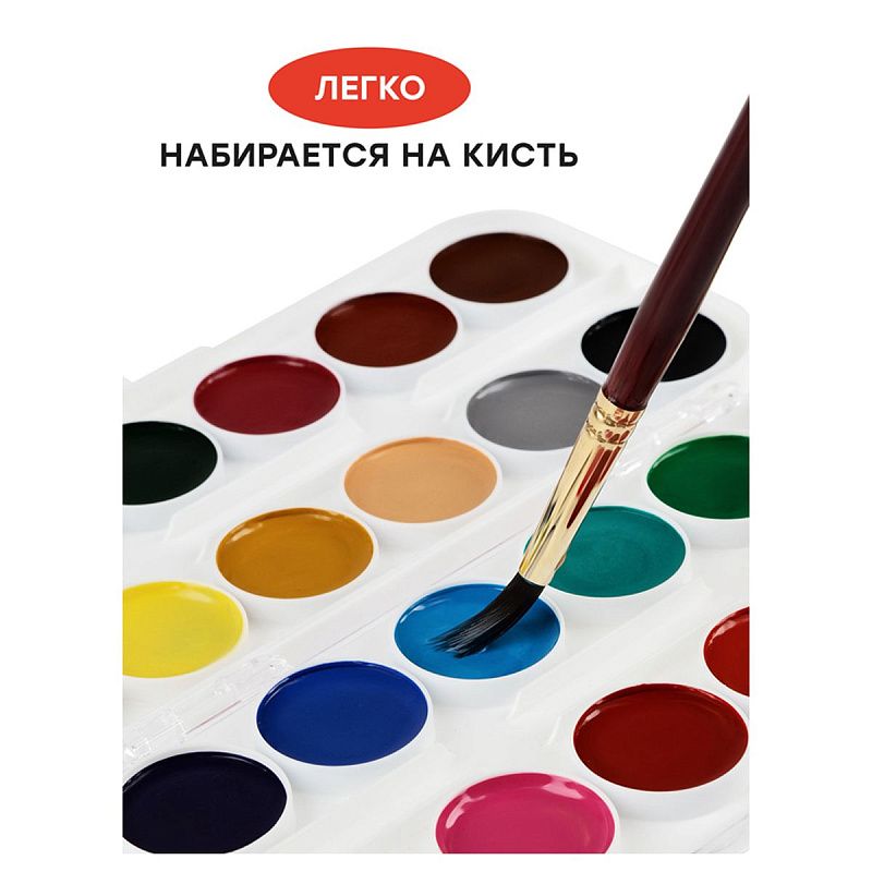 Акварель Гамма "Мультики" NEW, медовая, 24 цвета, без кисти, пластик. упак., европодвес