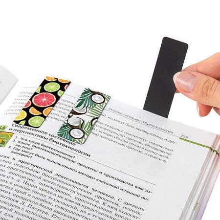 Закладки для книг МАГНИТНЫЕ, "FRUITS", набор 6 шт., 60x20 мм, BRAUBERG, 113160 