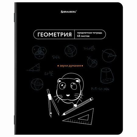 Тетради предметные, КОМПЛЕКТ 12 ПРЕДМЕТОВ, 48 л., TWIN лак, BRAUBERG "МЕМЫ", 405172