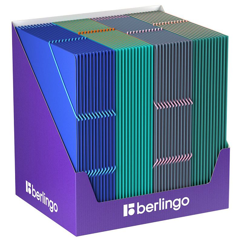 Папка на резинке Berlingo "Soft Touch Pro" А4, пластик, 600мкм, софт-тач, ассорти 