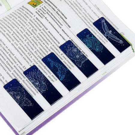 Закладки для книг МАГНИТНЫЕ, "GALAXY", набор 12 шт., 60x20 мм, BRAUBERG, 113171 