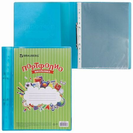 Папка для портфолио школьника, 2 кольца, 20 файлов, пластик, полупрозрачный, синяя, BRAUBERG, 126557 