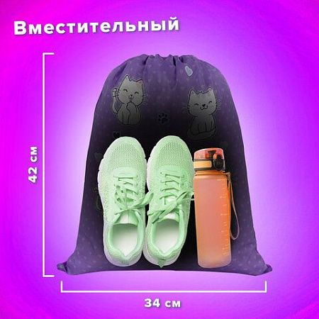 Мешок для обуви BRAUBERG KIDS, с петлей, 42х34 см, "Playing kittens", 272413 