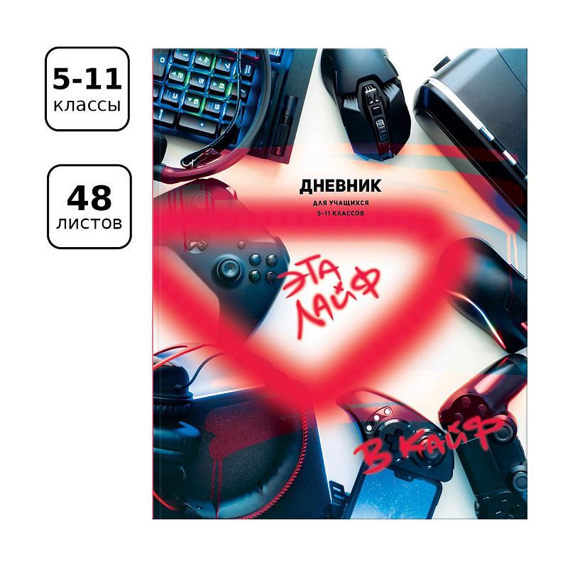 Дневник 5-11 кл. 48л. ЛАЙТ BG "В кайф", матовая ламинация, выб. лак
