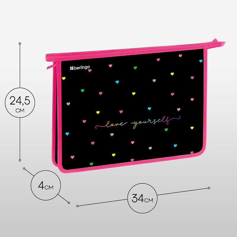 Папка для тетрадей 1 отделение, А4 Berlingo "Love Yourself", 340*245*40 мм, пластик, на молнии 