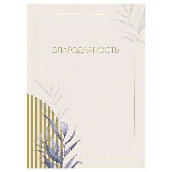 Благодарность А4, BG, мелованный картон, бежевая