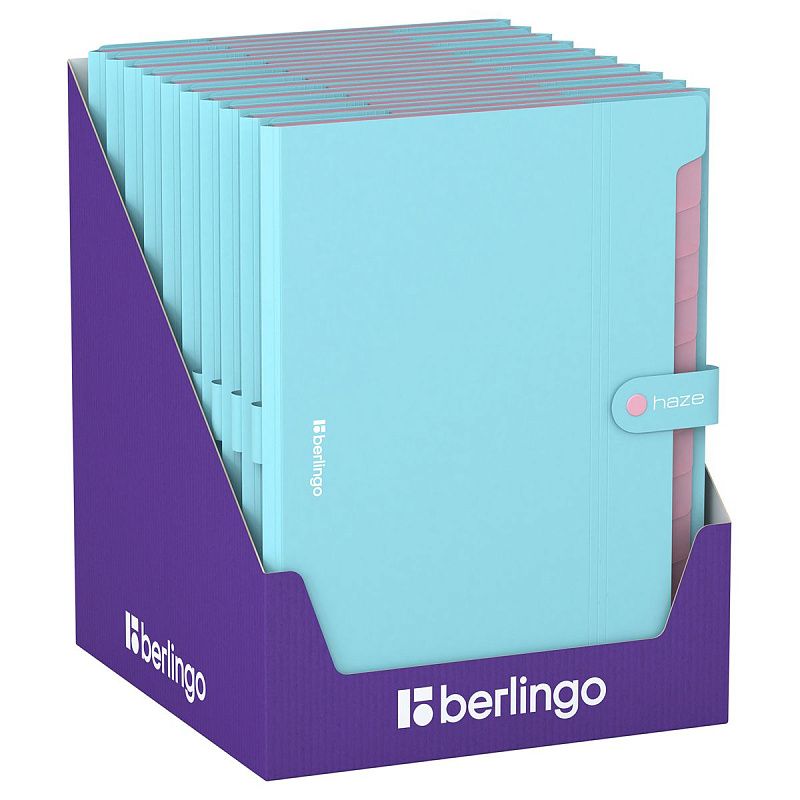 Папка 12 отделений Berlingo "Haze", А4, 600мкм, на кнопке, голубая 