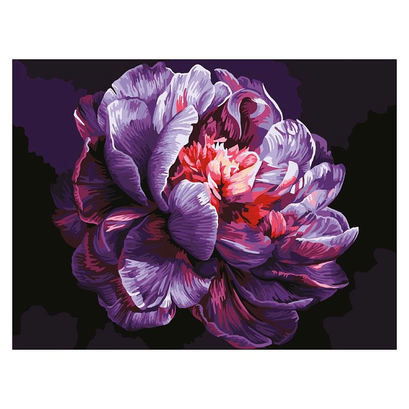 Картина по номерам на картоне ТРИ СОВЫ "Сиреневый пион", 30*40, с акриловыми красками и кистями