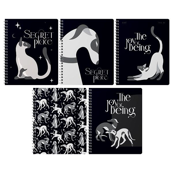 Тетрадь 80л., А5, клетка на гребне ВG "Secret Place", матовая ламинация, выборочный лак, фольга